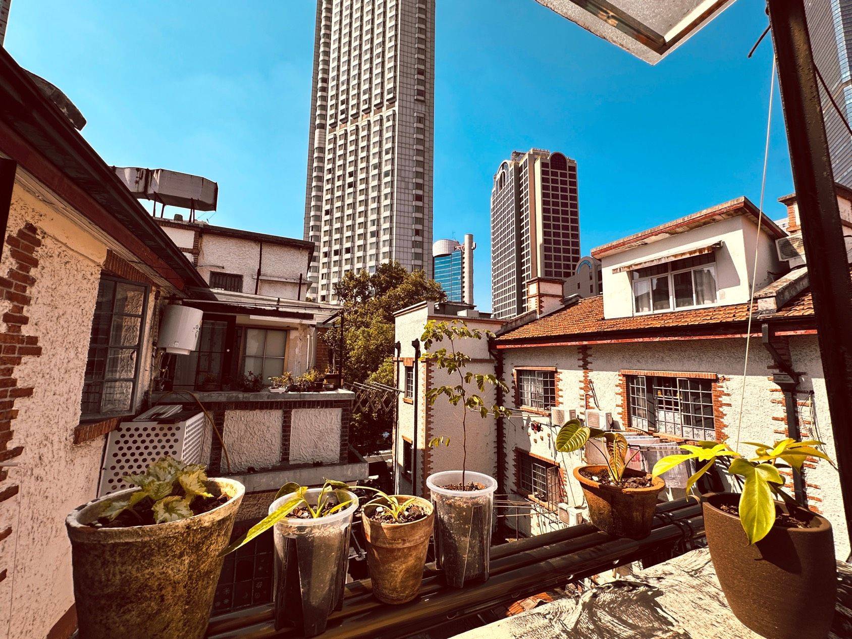 Shanghai Jing‘An | 华山路263弄-3_8