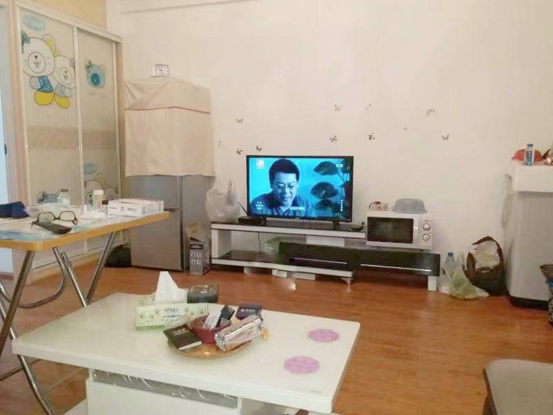 芙蓉 日出东方
