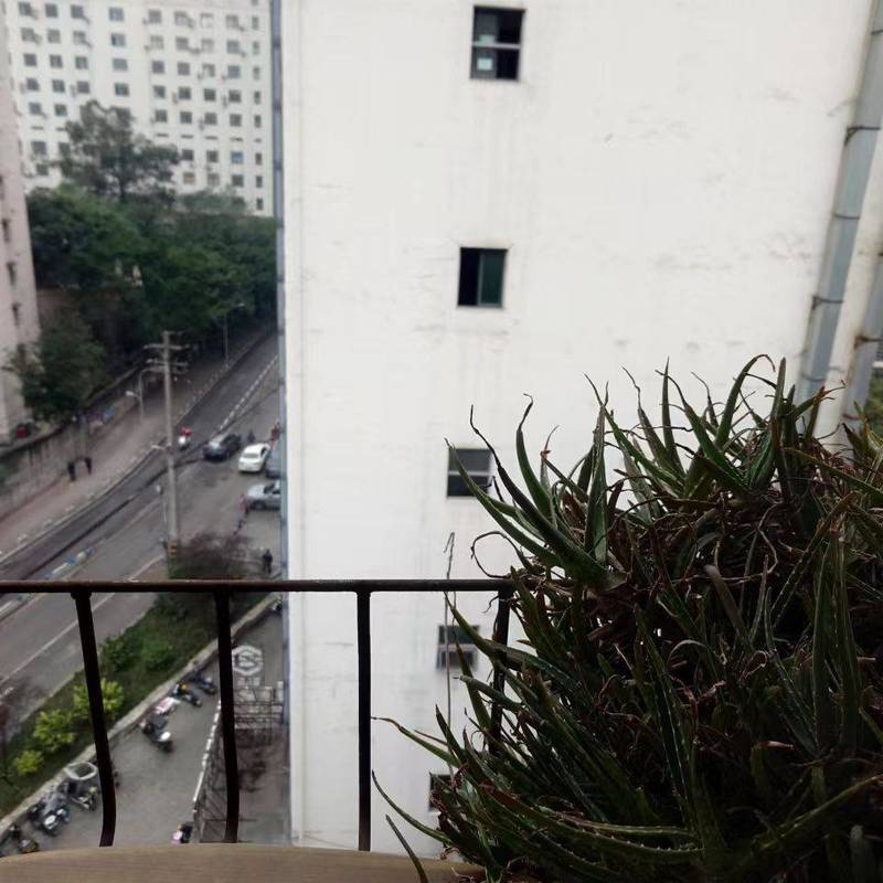 Chongqing Liangjiang New Area | 塔坪37号小区_5