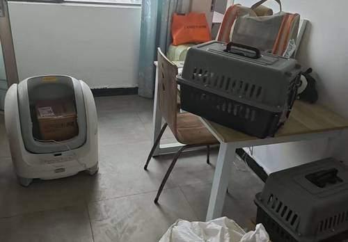 新建區 礼步花园小区