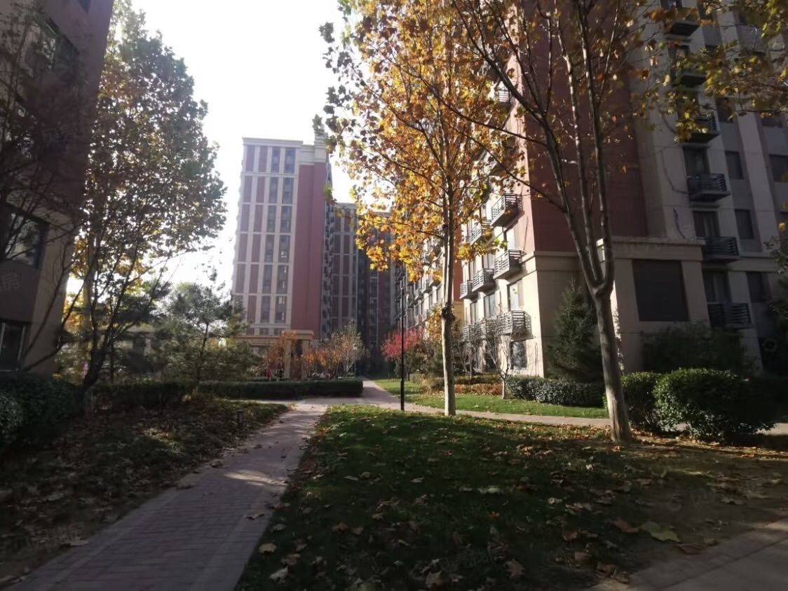 Beijing Shunyi | 金地·悦景台_8