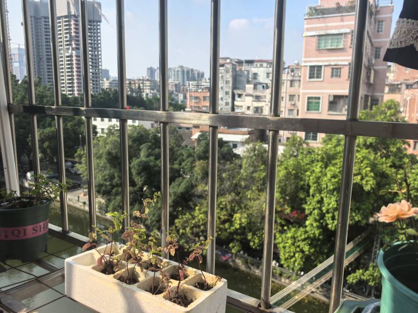 Tianhe 员村