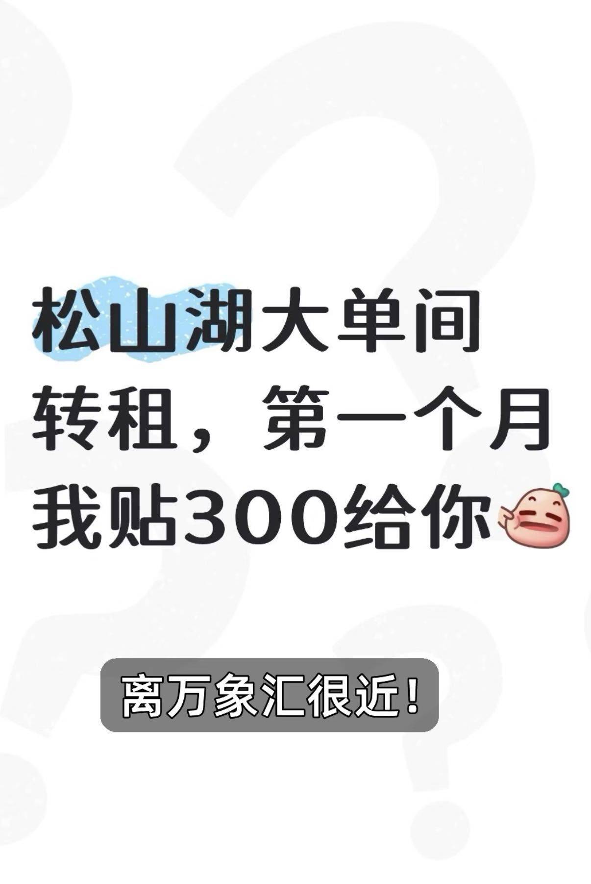东莞 寮步 | 松湖澜岸花园_6