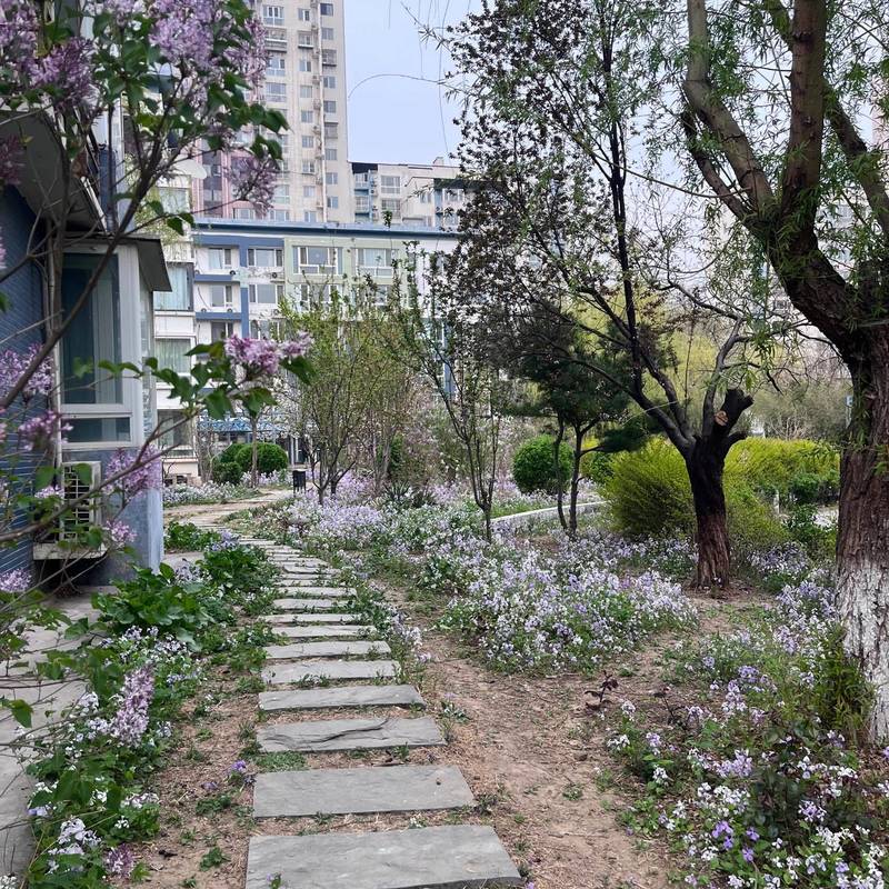 Beijing Tongzhou | 蓝调沙龙东区_5