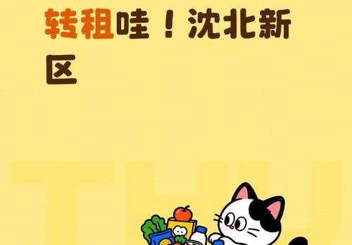 Shenbei New Area 大学新城