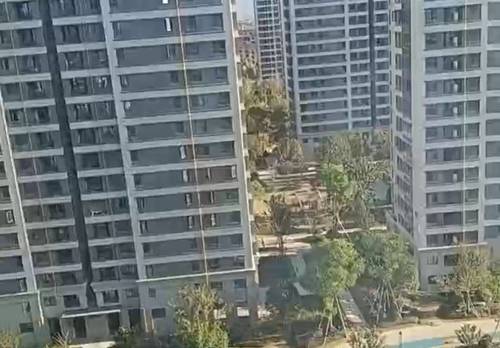 金东 沐棠和苑