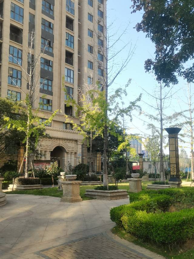 Zhengzhou Jinshui | 伟业龙湖上城-壹号院_4