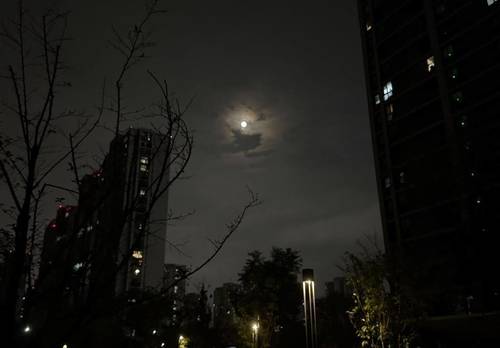 濱江 浦翠景庭-1栋