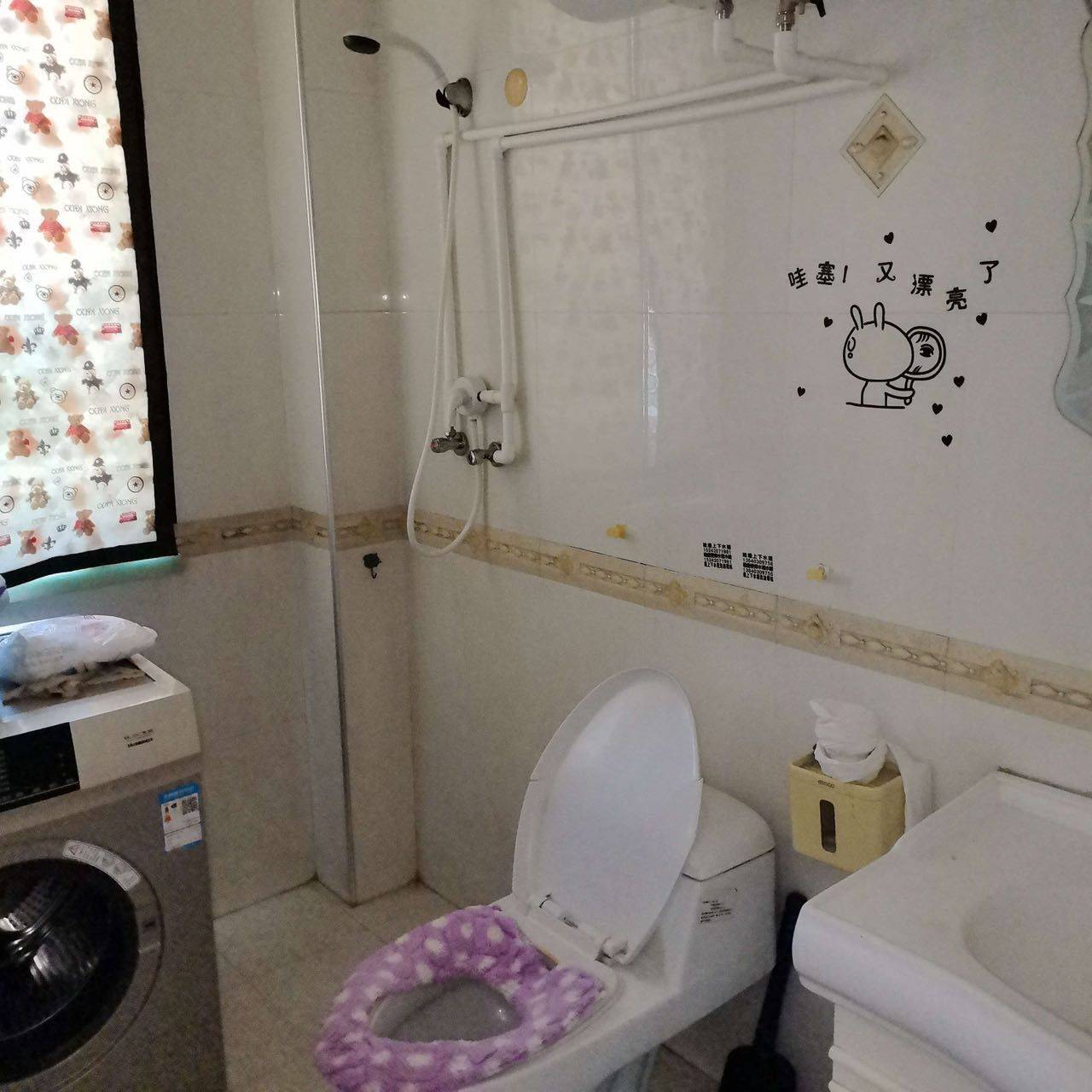 Liaozhong 辽中区啤酒厂小区